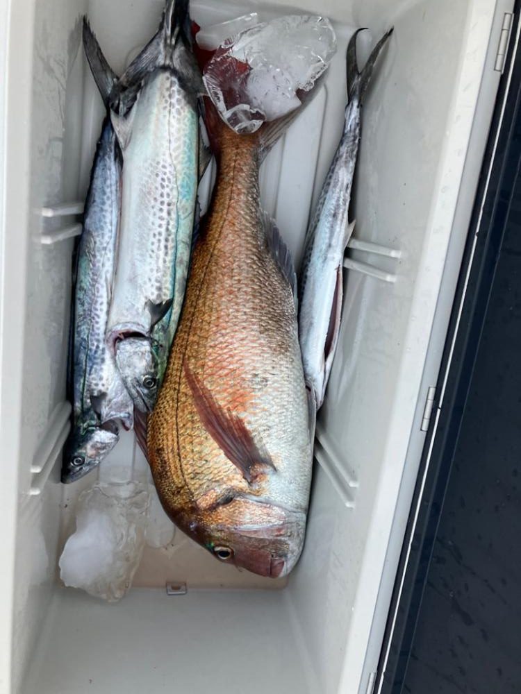 天秤仕掛けちょこっとジギング