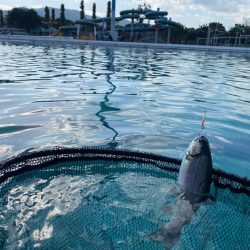 2023かめプーオープン