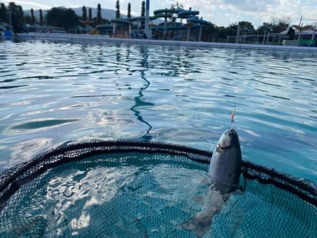 2023かめプーオープン