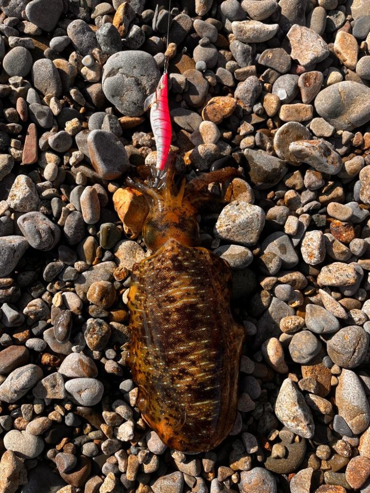 沖の潮目を感じて