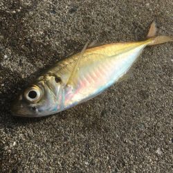 雰囲気だけはある