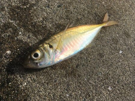 雰囲気だけはある