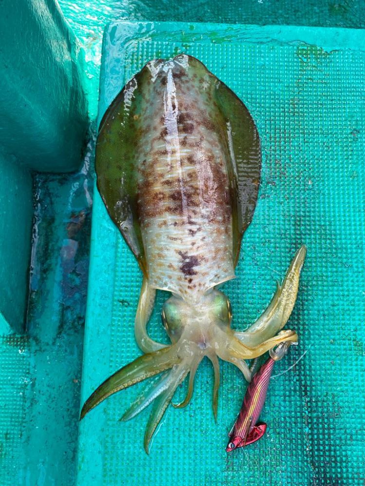 今シーズン初キロアップ