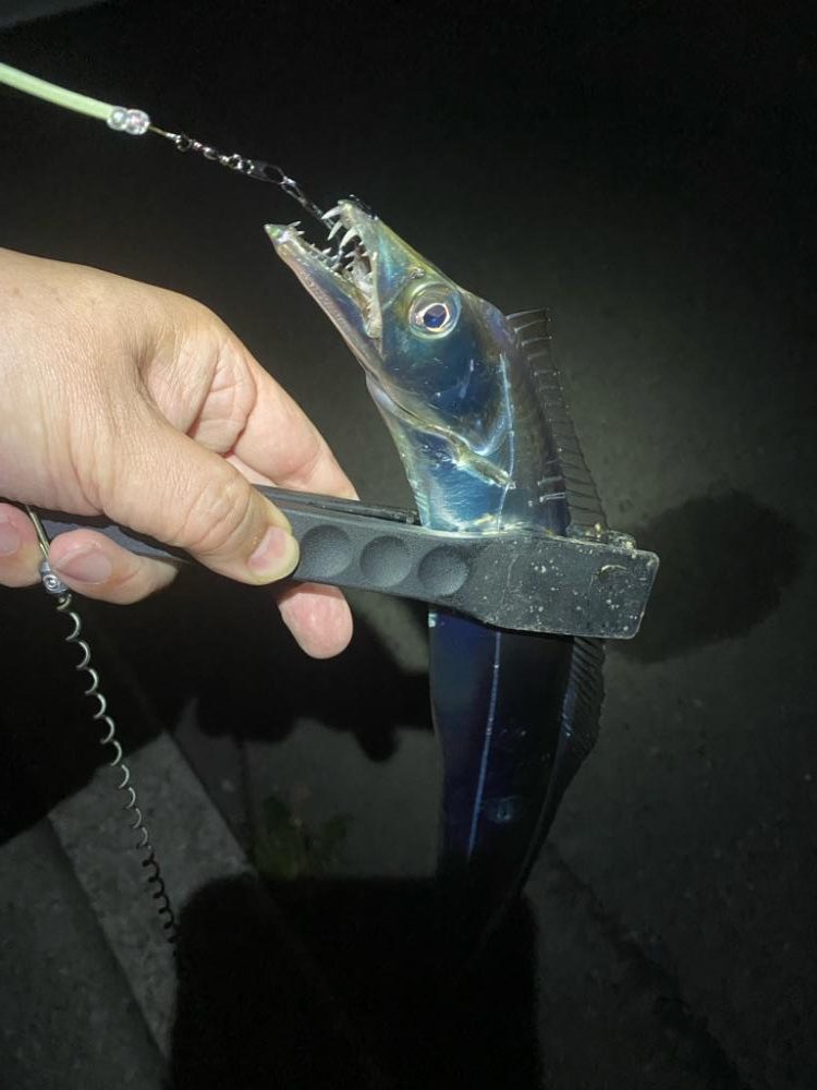 あたりは多いが