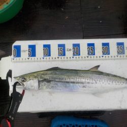 筏かかり釣り第2 戦〜たかし丸〜