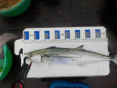 筏かかり釣り第2 戦〜たかし丸〜