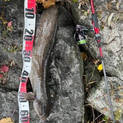 琵琶湖、朝の散歩