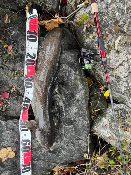 琵琶湖、朝の散歩