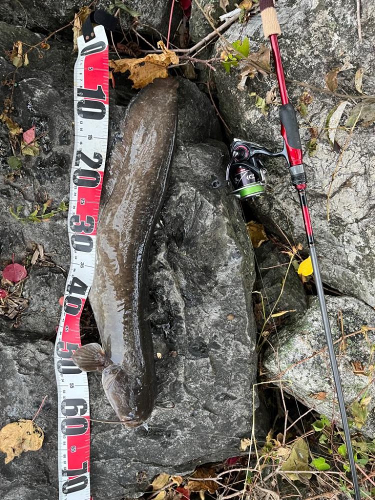 琵琶湖、朝の散歩