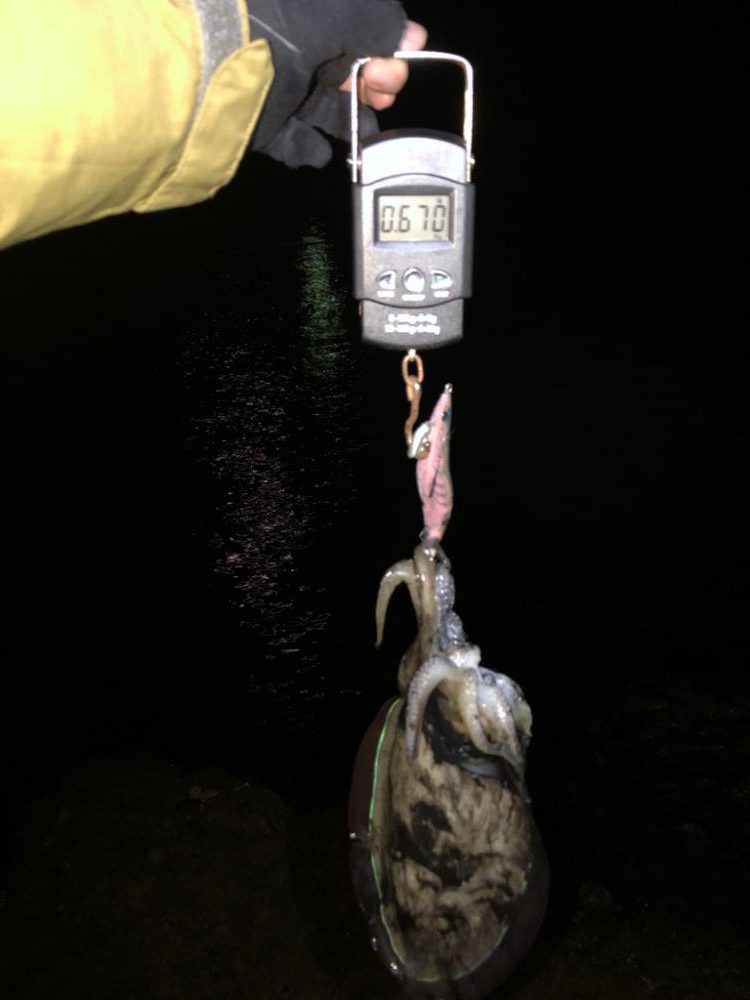 【白浜〜田辺エリア】ランガン2日目