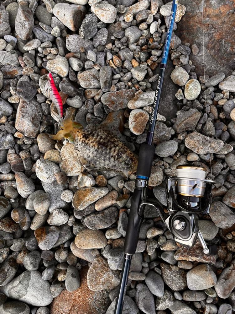 風強め、濁り強め…