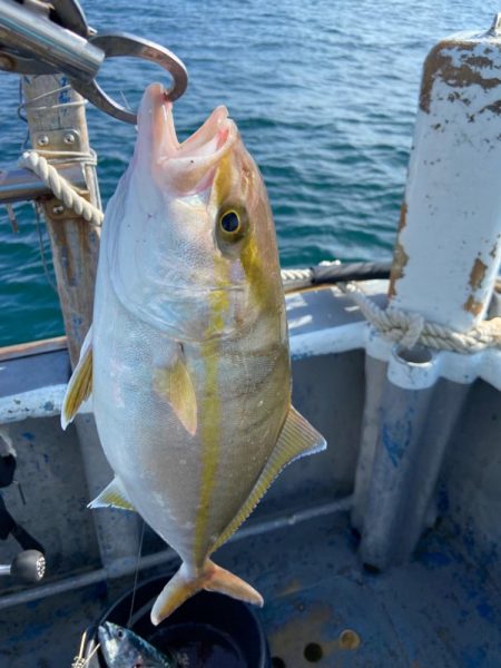 泰斗丸でシオジギング