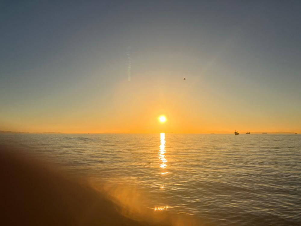 暖かく良い日でした