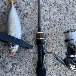 連続デイアジング