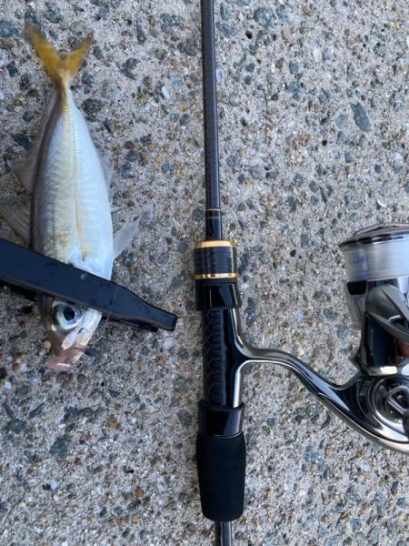 連続デイアジング