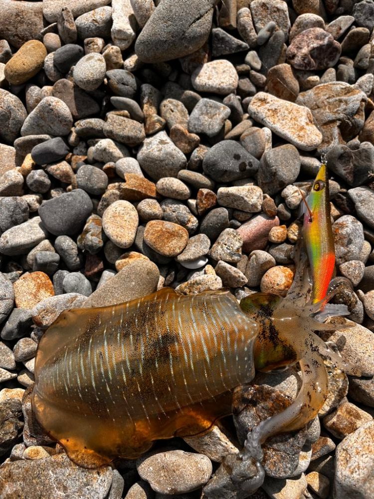 なんだか活性高め⁉︎