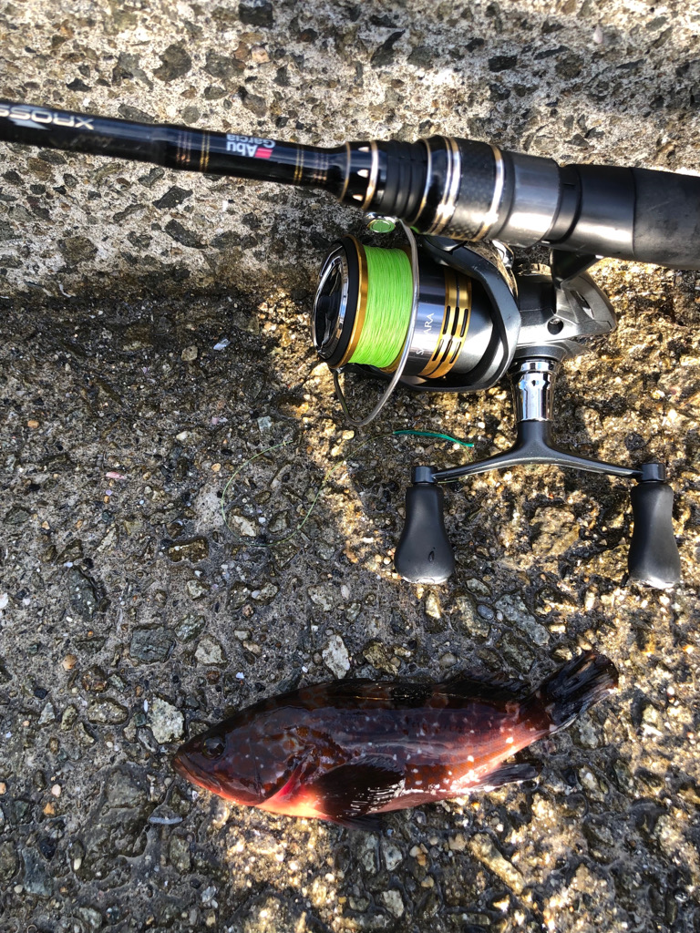 もう冬の海ですか?まったり胴突き