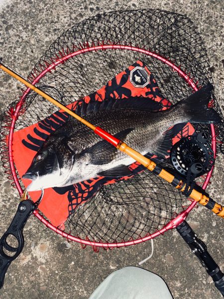 ヘチってきました