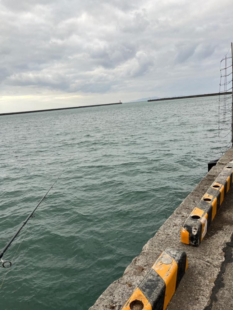 また青物は釣れませんでした。