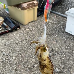 周防大島二日目