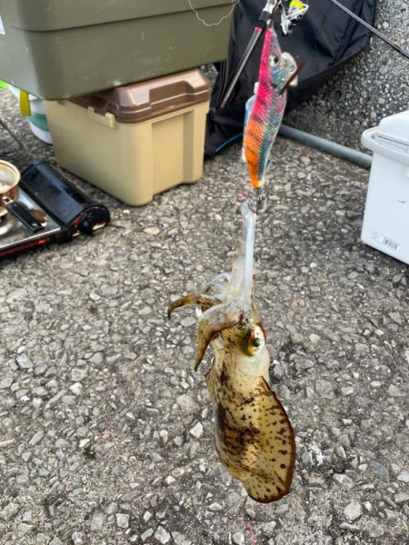 周防大島二日目