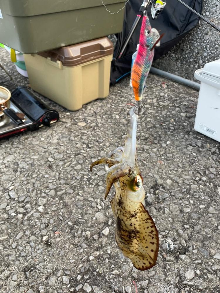 周防大島二日目