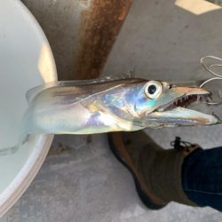 タチウオジギングは厳しかった。