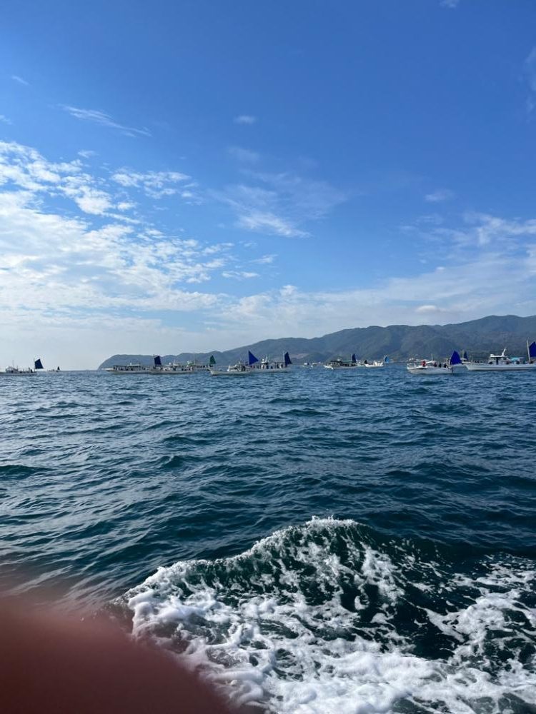 タチウオとカワハギ