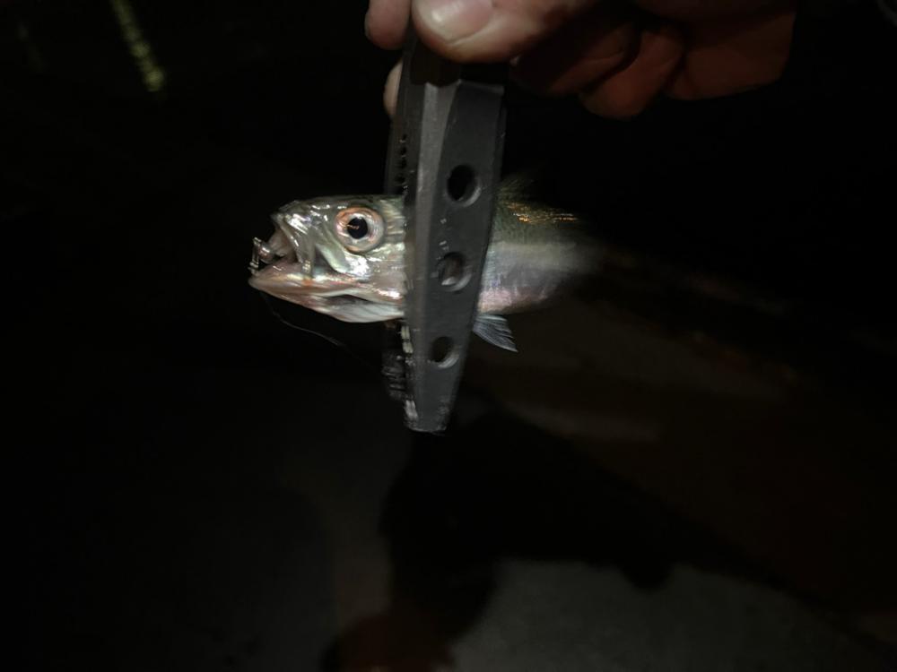 仕事帰りにいつもの