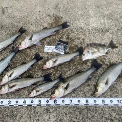 気温差が激しい日