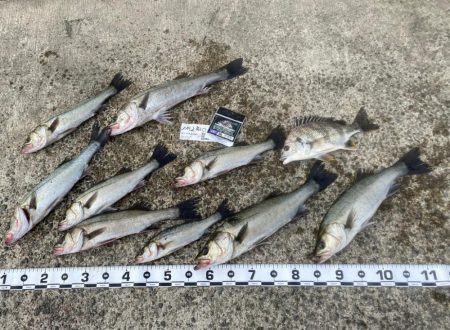 気温差が激しい日