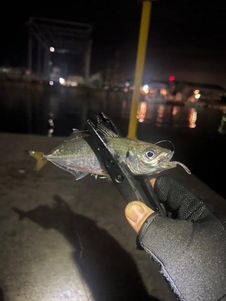 ワームメーカー縛りアジング