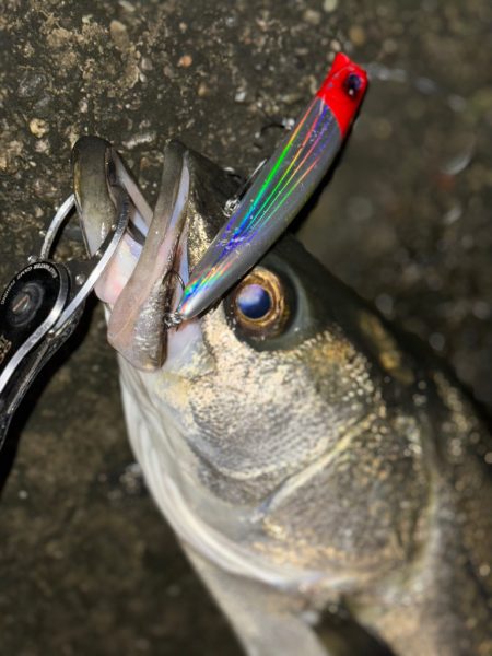 秋のドリフトは正義！