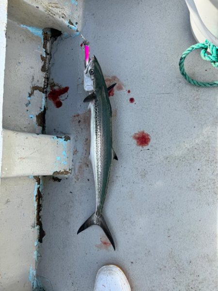 今シーズン初ジギング