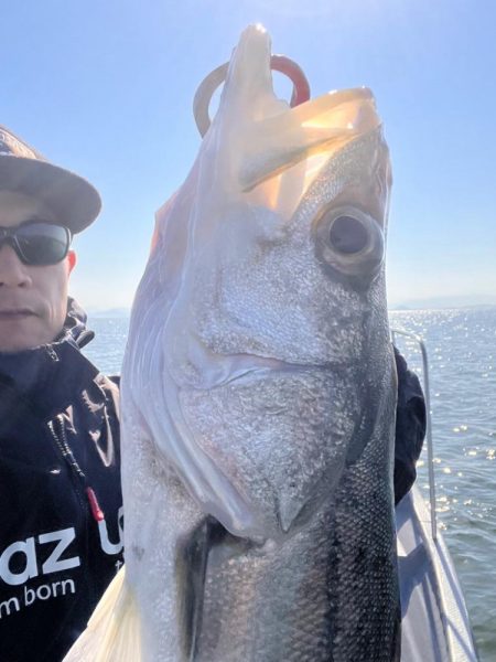 中海ボートシーバス