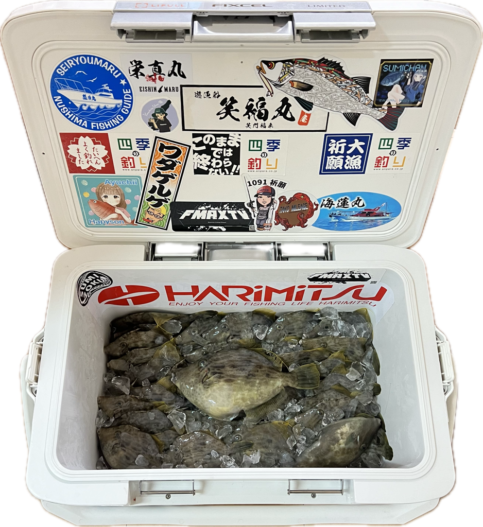 カワハギ/カワハギ仕掛け