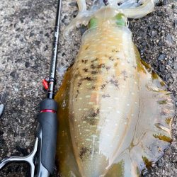 先頭打者初球ボームラン！