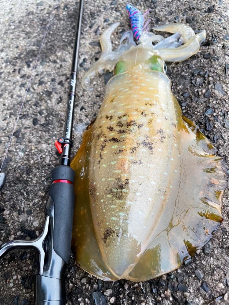 先頭打者初球ボームラン!