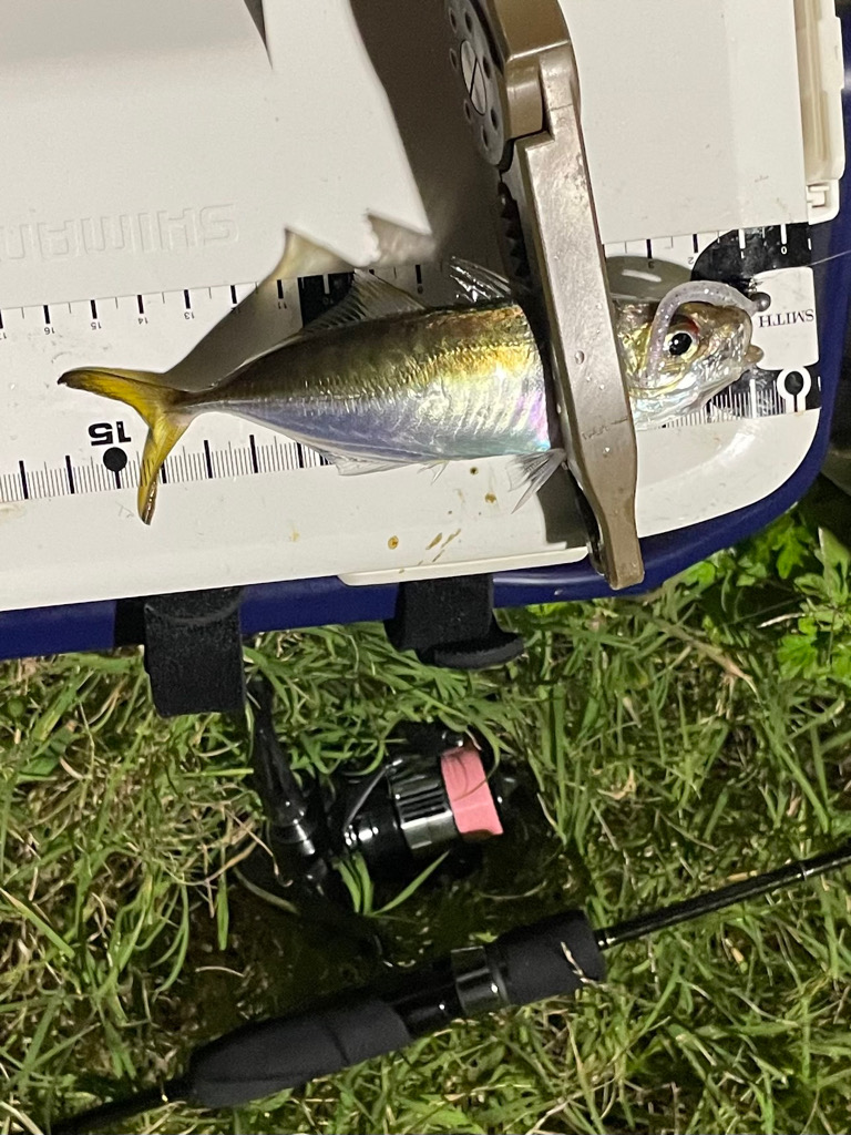 ジグ単de…アジング♪フィールド次第！