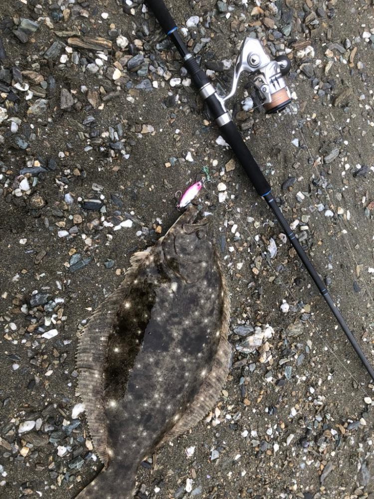 サーフでフラット狙い