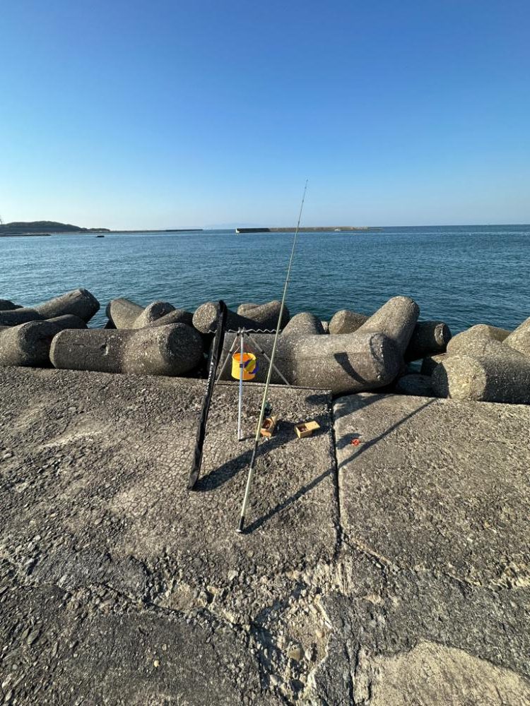 カレイ釣り、太刀魚釣り