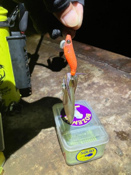 ヒイカ釣り🎣ミミイカも釣れた(^^)