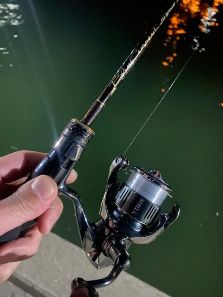 大阪湾奥アジング