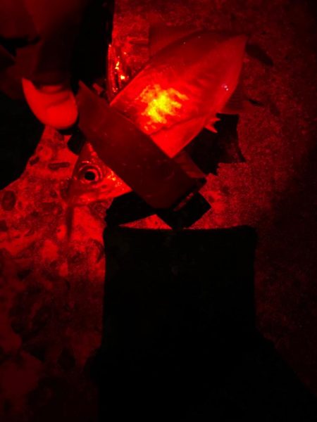 ナイトアジング