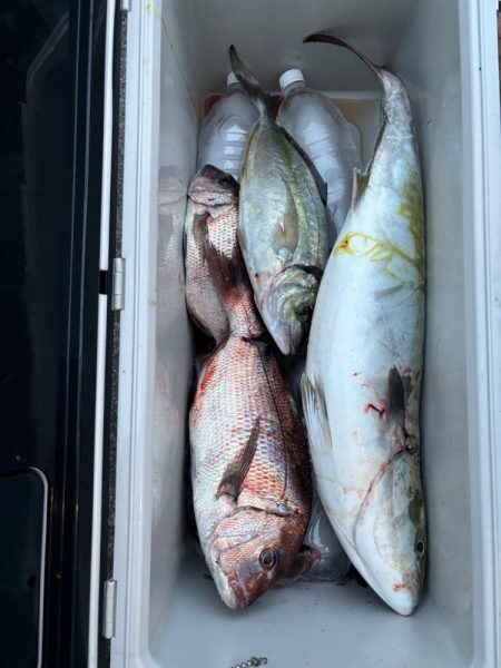 美浜フィッシングパーク