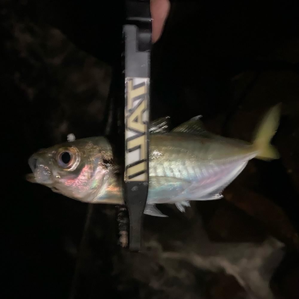 フロートアジング