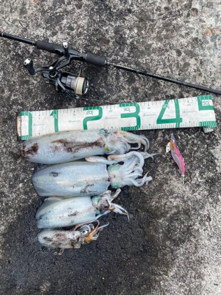 2023 佐渡ヶ島エギング 60回目【11…