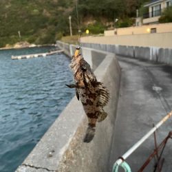 旅行先でライトゲーム