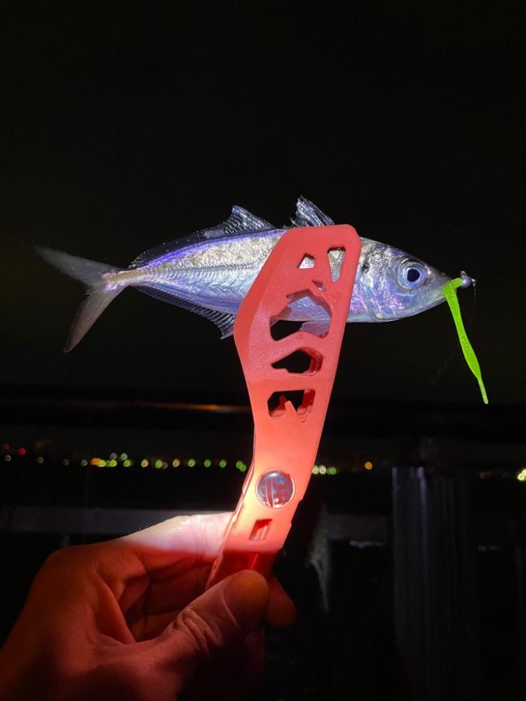 今日もアジだけでした