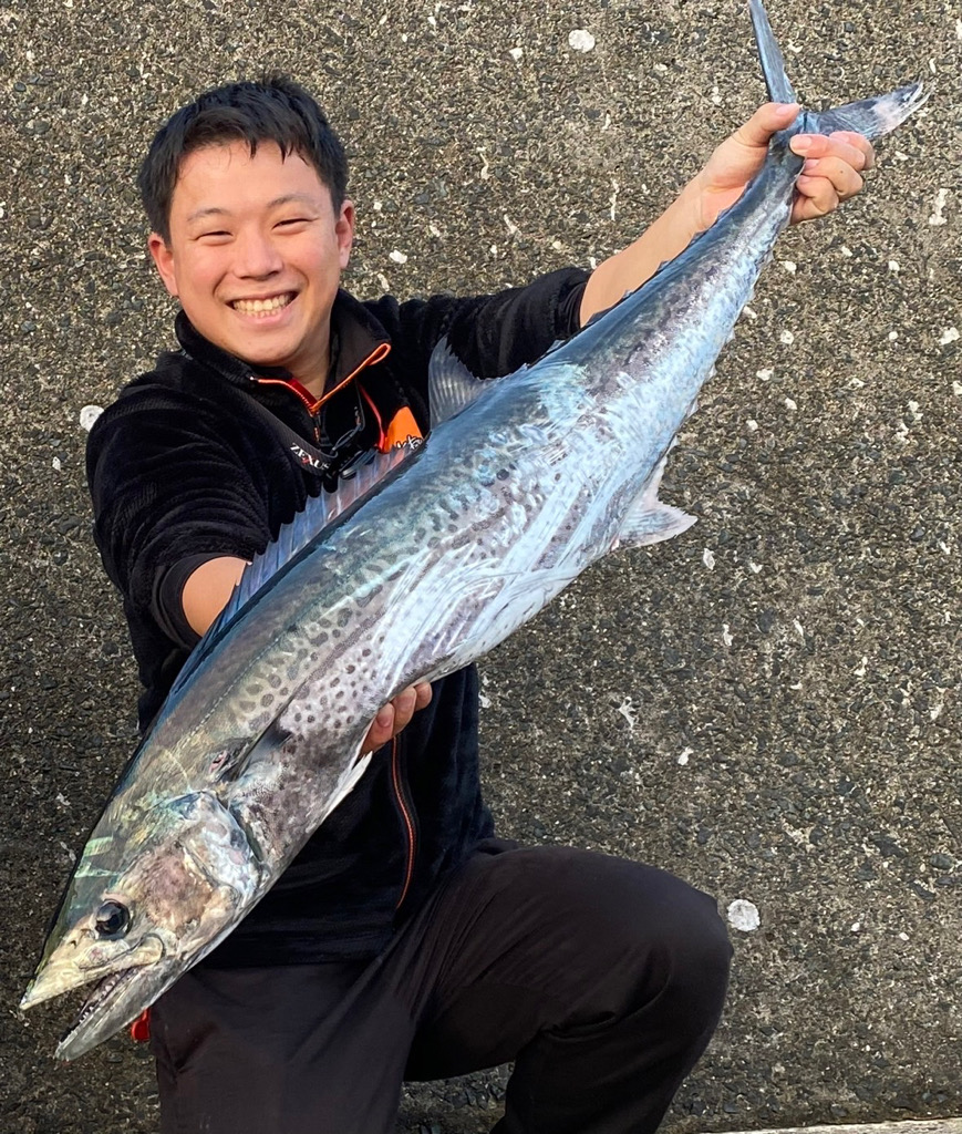 メーターサワラ